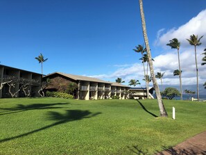 Exterior - Beautiful Napili Shores Condo!  (Lahaina)