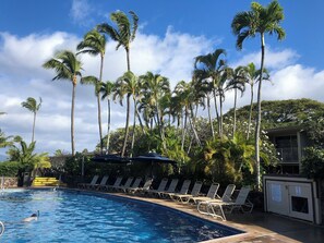 Pool - Beautiful Napili Shores Condo!  (Lahaina)