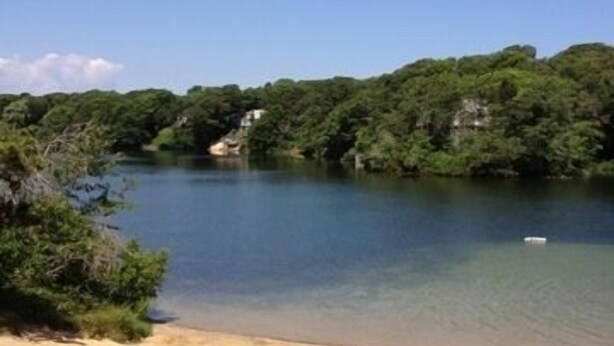 Ein Strand mit klarem Wasser, sandigem Ufer und dichter Vegetation im Hintergrund.