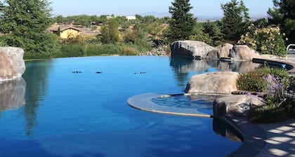 Private Guest House, Sleeps 6, Infinity Pool, Jacuzzi, Pet-Friendly, Wineries