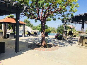 Property grounds - Private Guest House, Sleeps 6, Infinity Pool, Jacuzzi, Pet-Friendly, Wineries (Paso Robles)