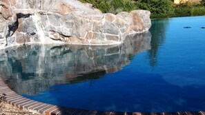 Pool - Private Guest House, Sleeps 6, Infinity Pool, Jacuzzi, Pet-Friendly, Wineries (Paso Robles)