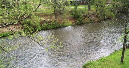 ¡Río, río, río Smokey Mts también!
