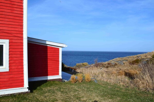 Property grounds - Oceanfront Cottage at the Edge of the Earth, St. John's  (Pouch Cove)