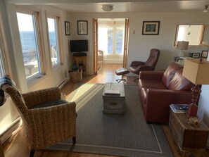 Televisión, chimenea, reproductor de DVD y libros 