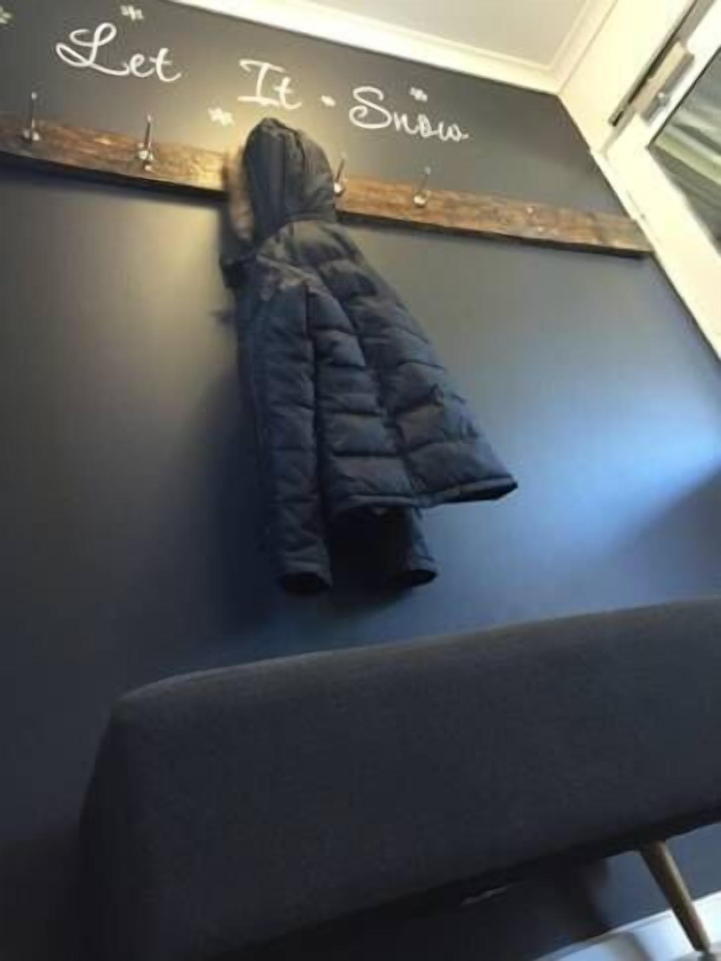 Snow Brainer-dog friendly — image 23