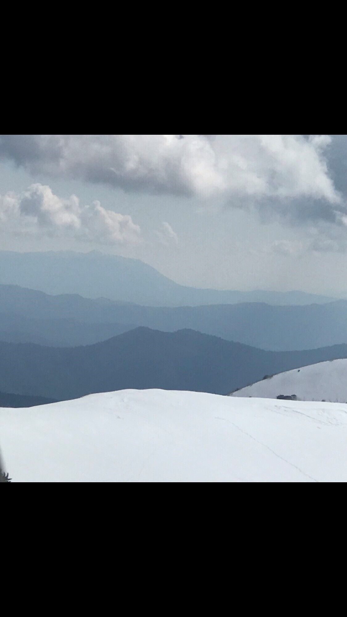 Snow Brainer-dog friendly — image 4