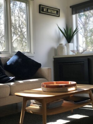 Smart TV, fireplace, DVD player, books