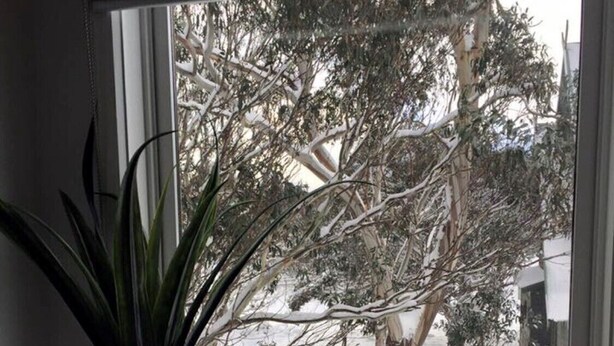 Une fenêtre donnant sur un paysage enneigé, une plante en pot et un panier tressé posés sur le rebord de la fenêtre.