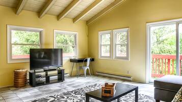 TV, fireplace, video games, DVD player