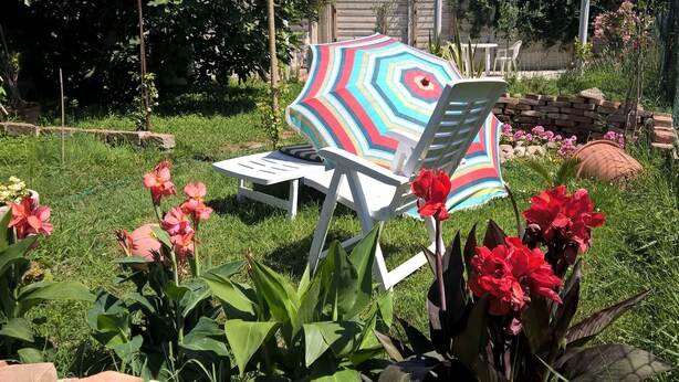 A garden with a white chair and a colorful striped umbrella, surrounded by various plants and flowers.