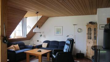 TV connectée, cheminée, lecteur de DVD, livres