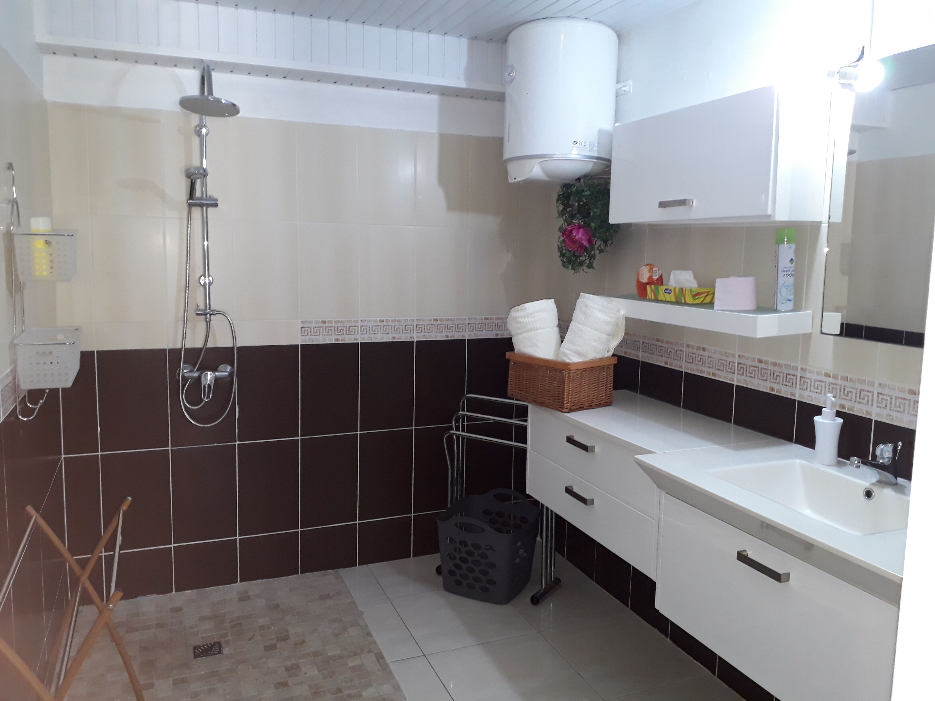 Shower, towels, toilet paper