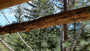 A wooden deck with a metal railing overlooking a forested area with a body of water. - A remote cabin surrounded by Pine, Birch and Aspen trees, five miles to Deadwood (Deadwood)