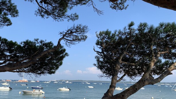 Ein Strand mit Booten, Menschen und Bäumen.