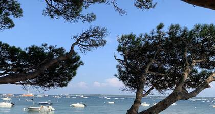 Villa de charme avec piscine, véritable havre de paix au milieu des pins