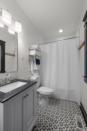 Hair dryer, towels, shampoo, toilet paper
