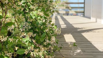 Detalle exterior