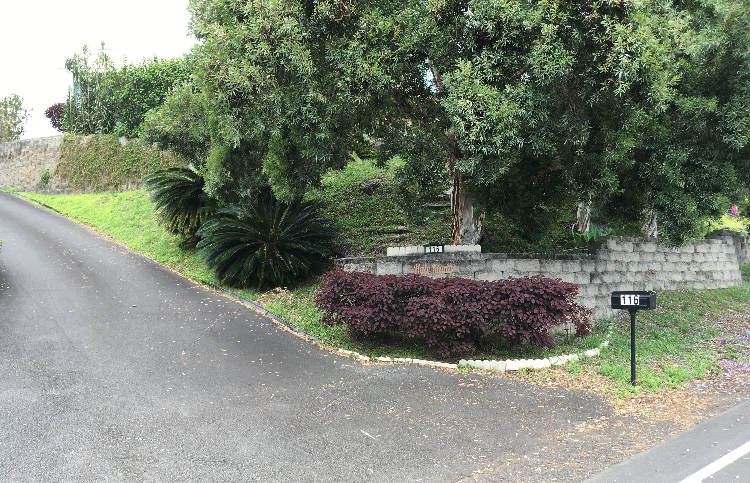 Una calle residencial con un muro de piedra, un buzón y abundante vegetación.