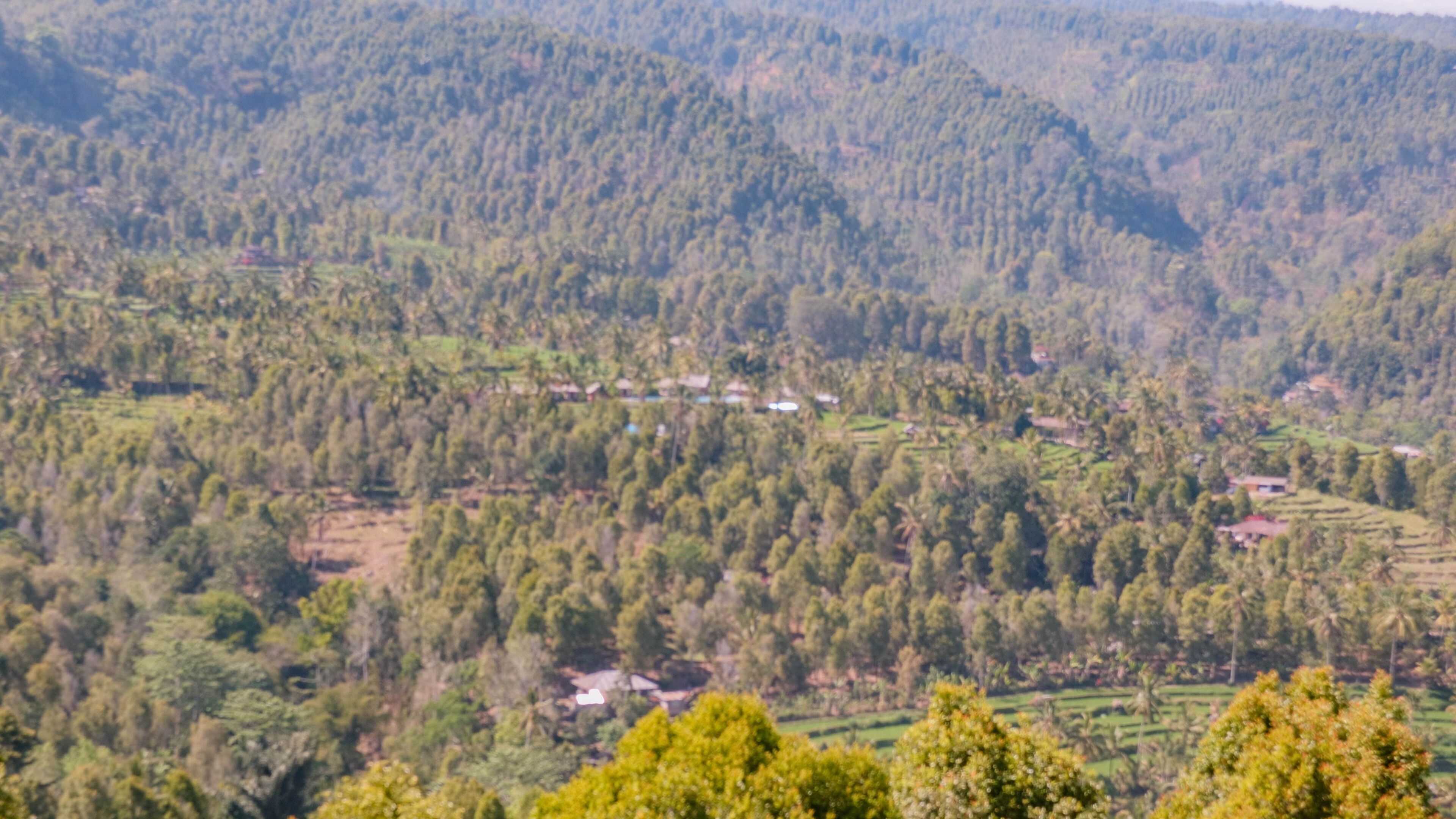 A mountainous landscape with scattered houses and dense forest.
