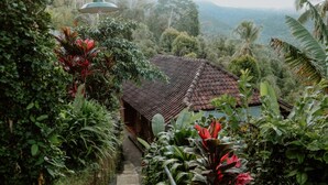 Une maison traditionnelle avec un toit en tuiles, entourée d’une végétation luxuriante et accessible par un chemin.