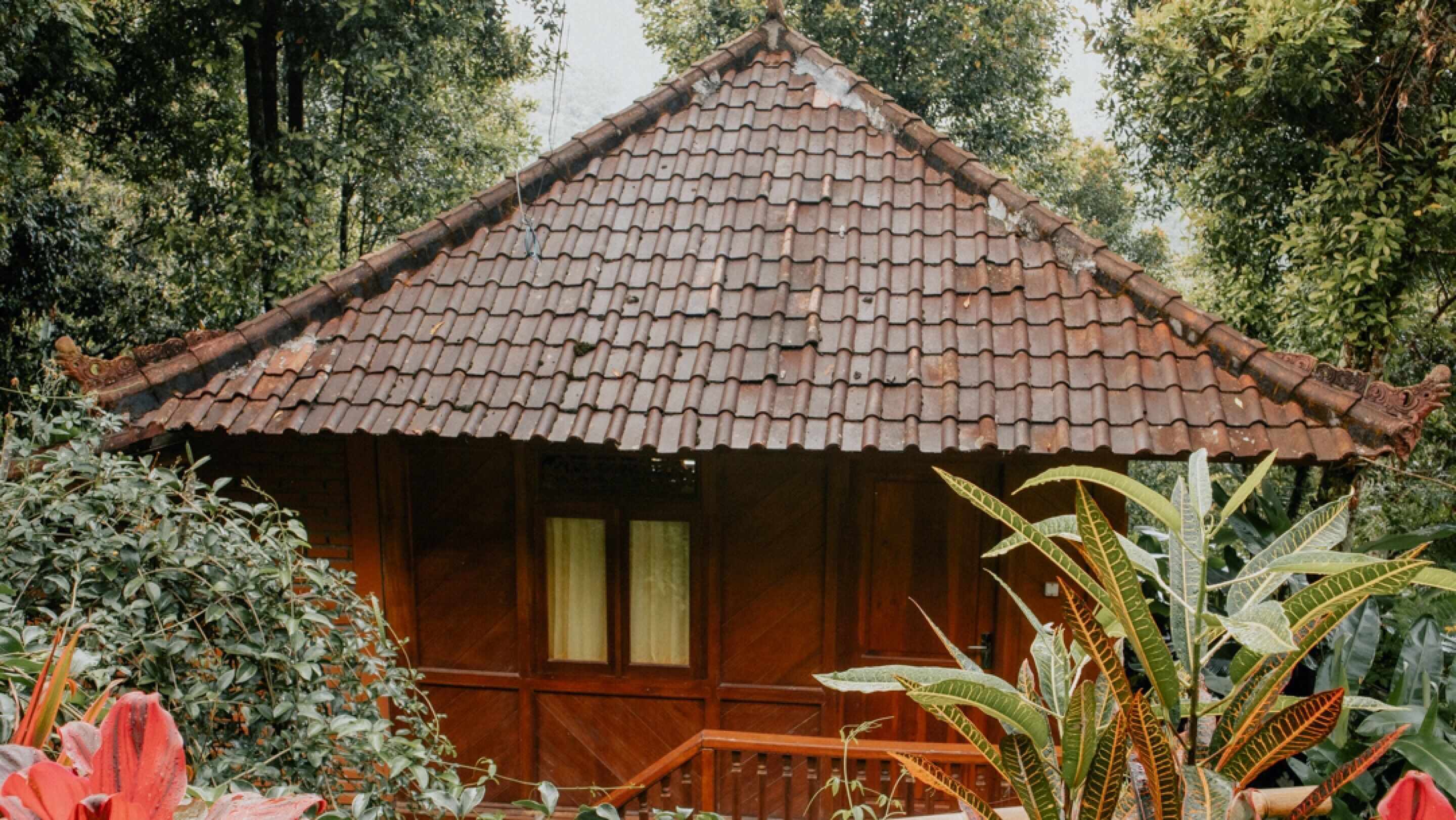 A wooden house with a tiled roof, surrounded by lush greenery.