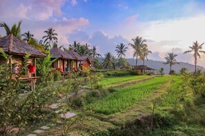 傳統雙人房單人入住 (Camping) | 園景