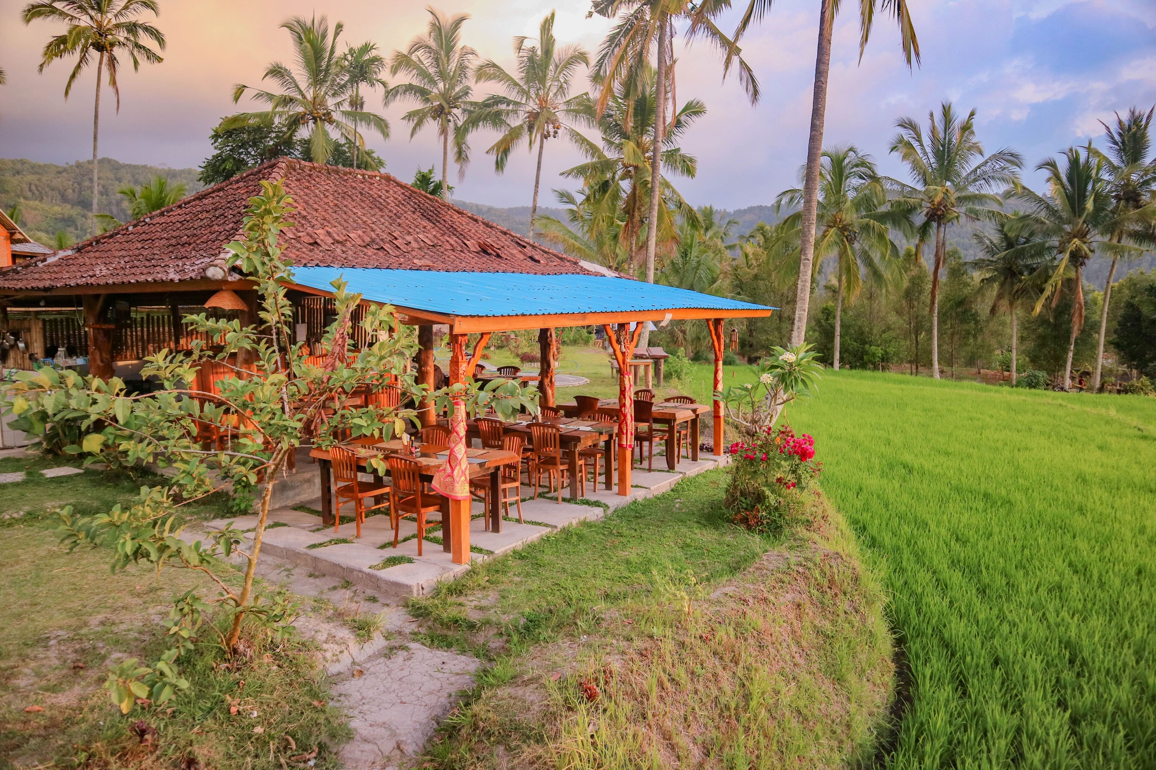 A rustic building with a tiled roof and a blue awning, surrounded by lush greenery and palm trees.