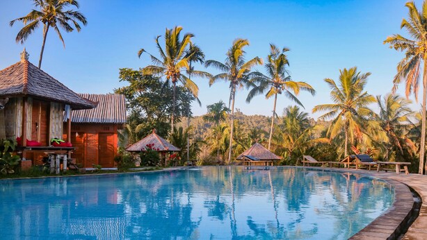 A swimming pool with palm trees and huts in the background. - Puri Sunny Camping (Munduk)