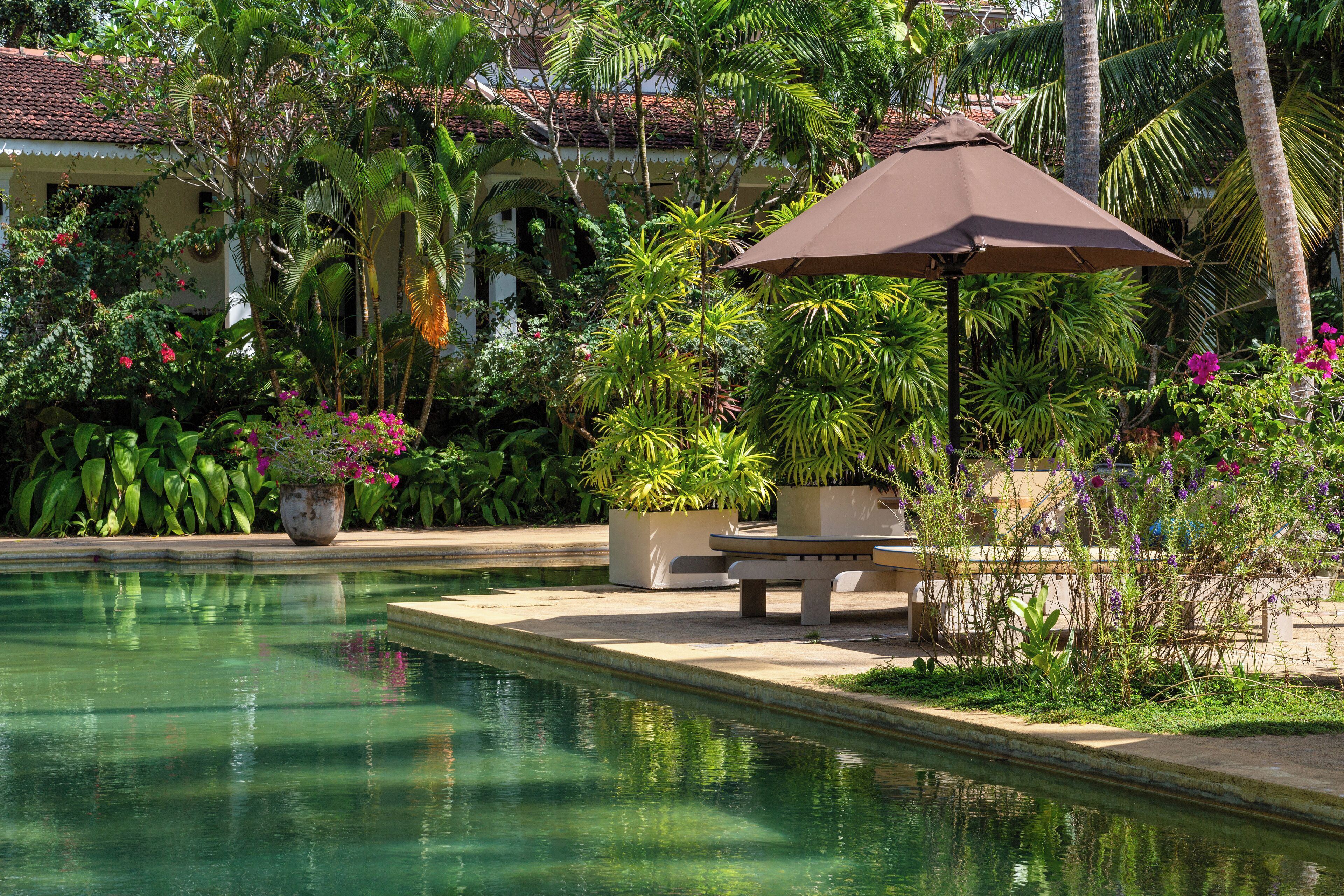 Outdoor pool, pool loungers