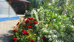 View from property - Feszek Aparts (Vonyarcvashegy)