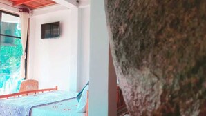 A room with a bed, a chair, a TV mounted on the wall, and a window with a view of greenery outside. - Ella camping Resort (Ella)