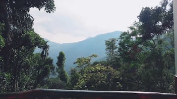 Paesaggio montuoso con fitta vegetazione.
