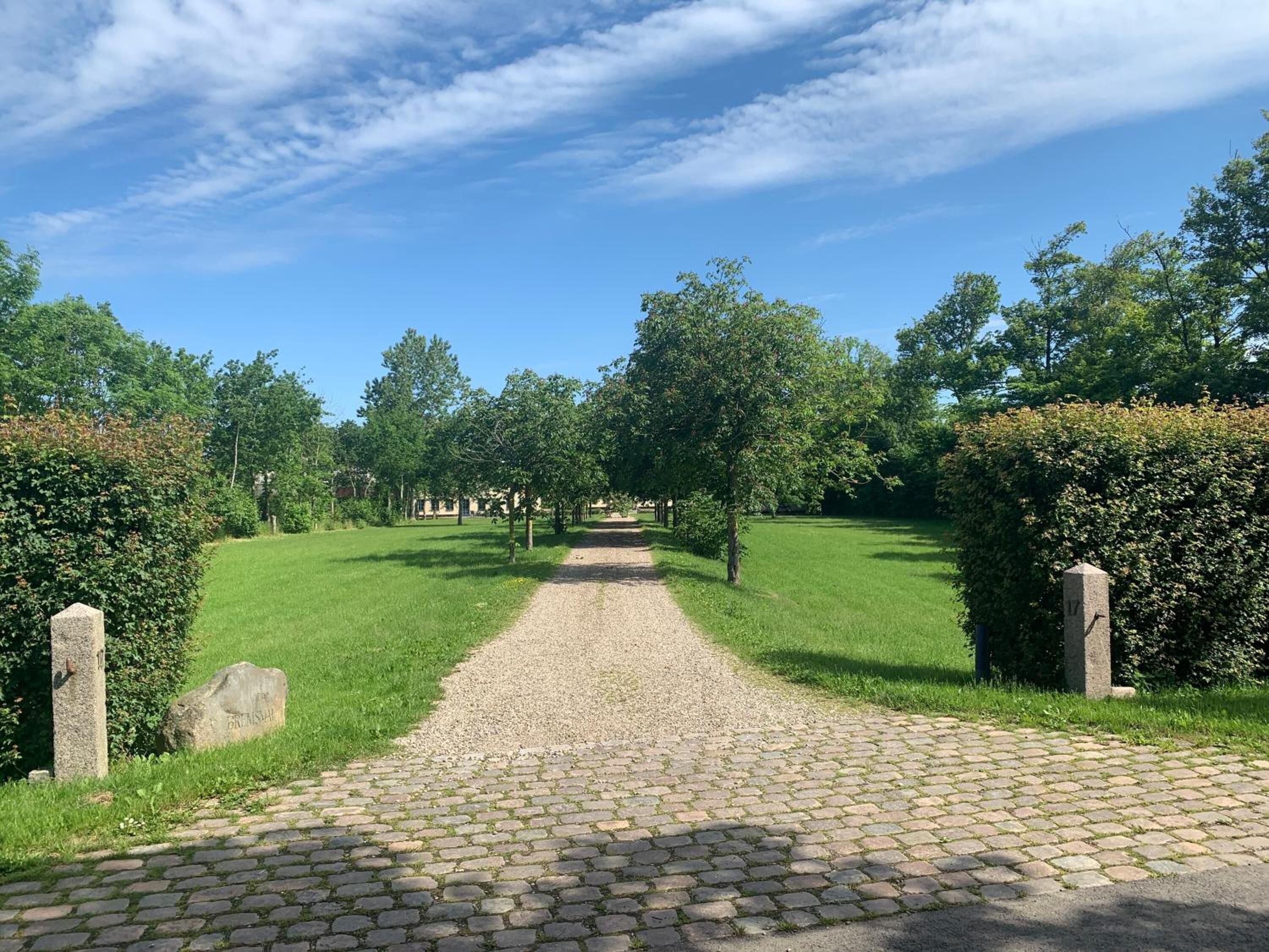 Un sentier pavé traverse un parc où l’herbe est verte et où des arbres bordent le chemin de chaque côté.