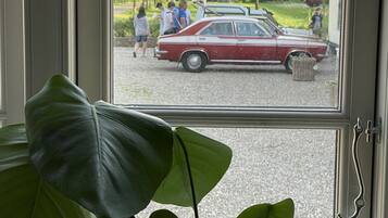 Une vue à travers une fenêtre : on aperçoit une voiture rouge garée à l’extérieur, une grande plante verte au premier plan et un ciel dégagé.