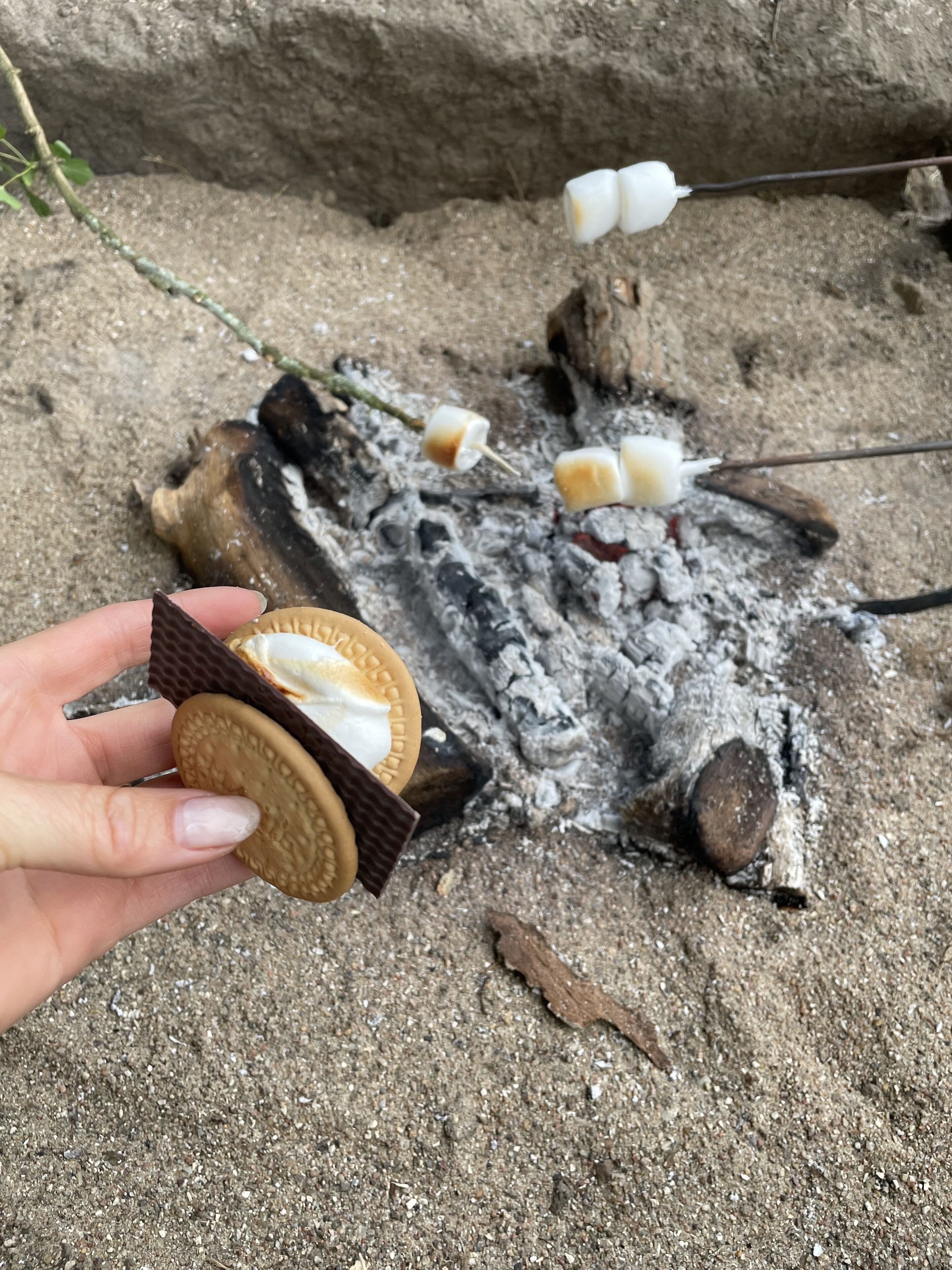 Una mano sostiene un malvavisco y una galleta cerca de una fogata.