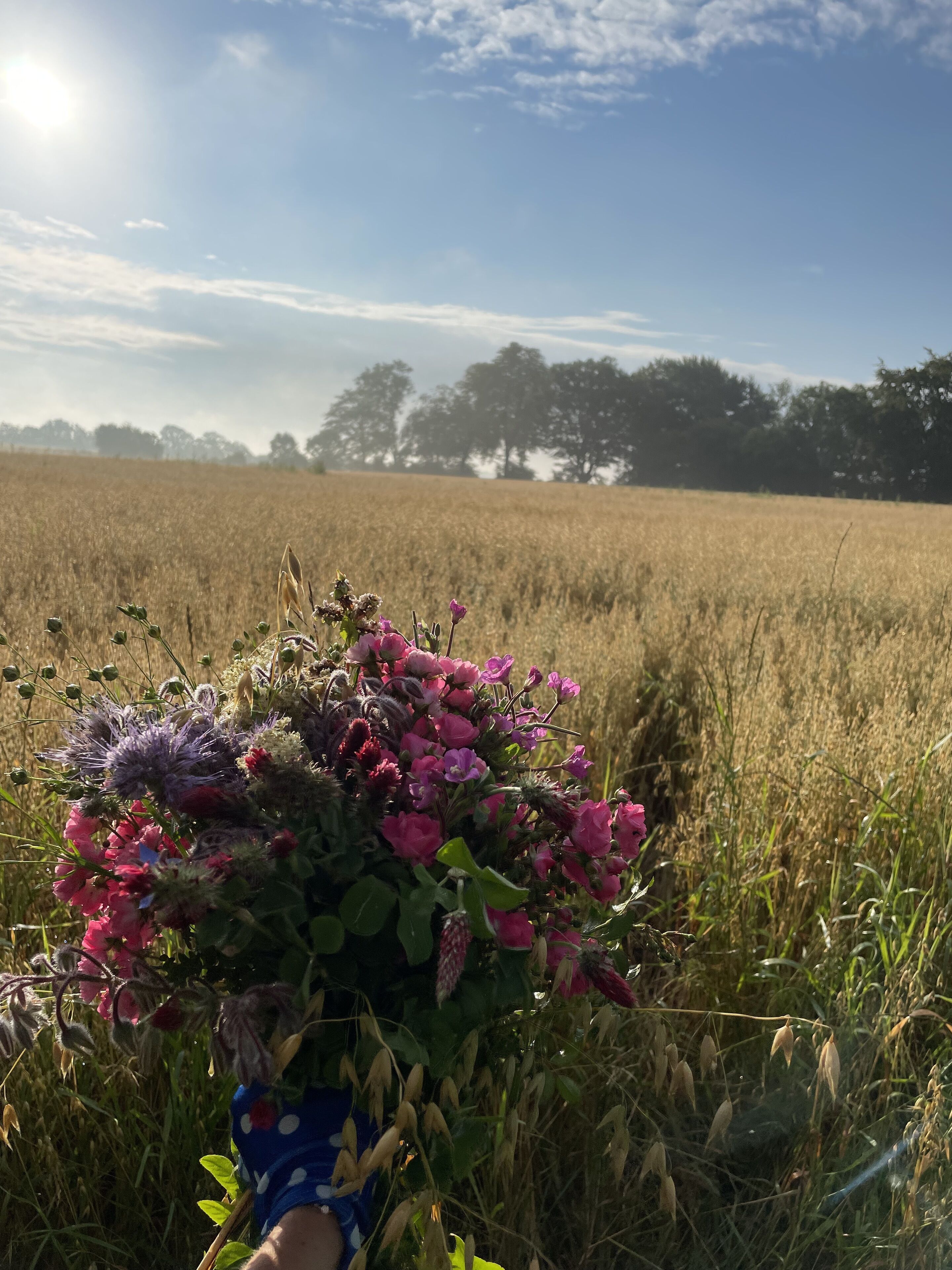 A field with a bouquet of flowers in the foreground.