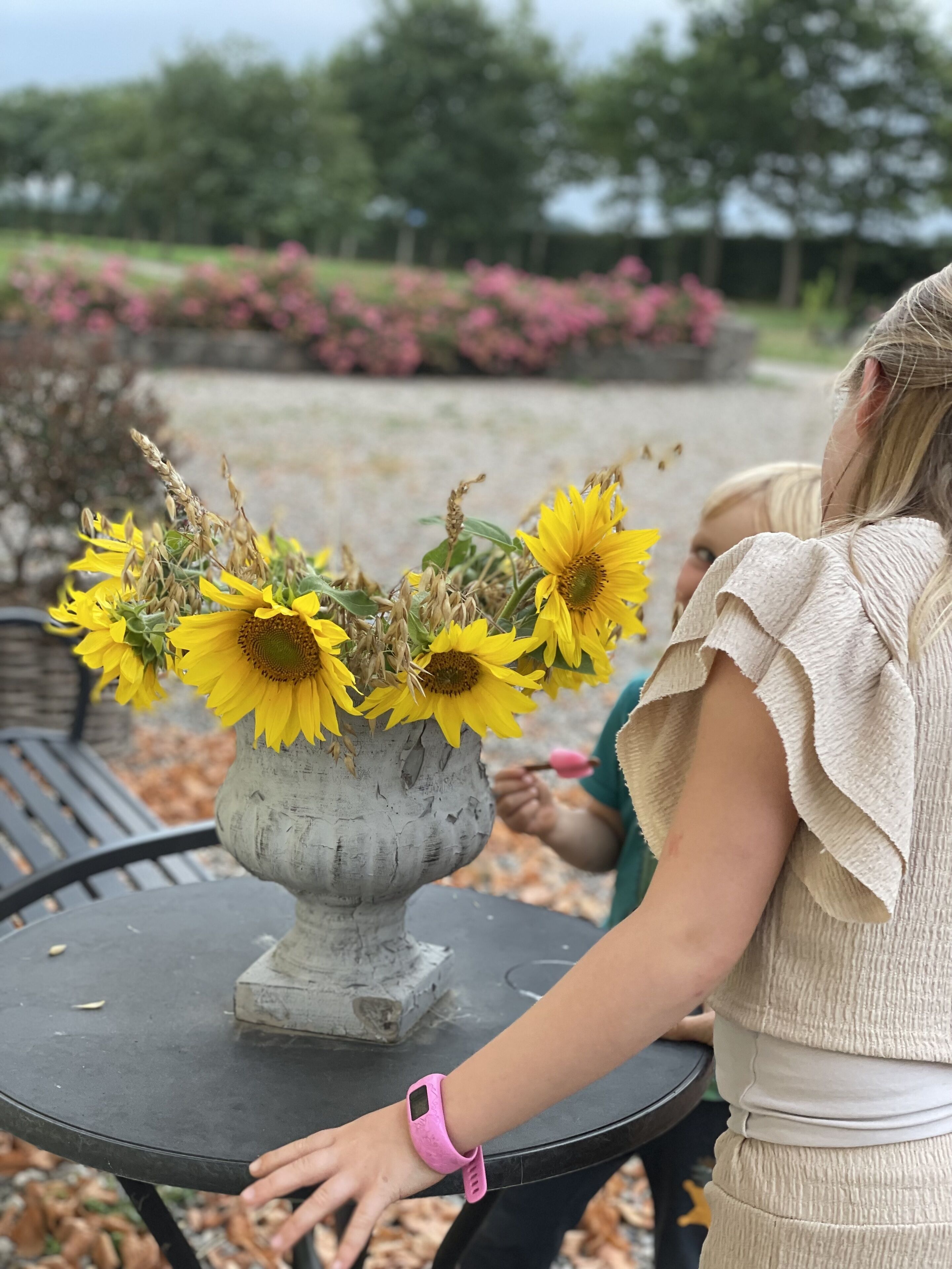 A table with a vase of sunflowers, a person wearing a pink watch, and a garden in the background.