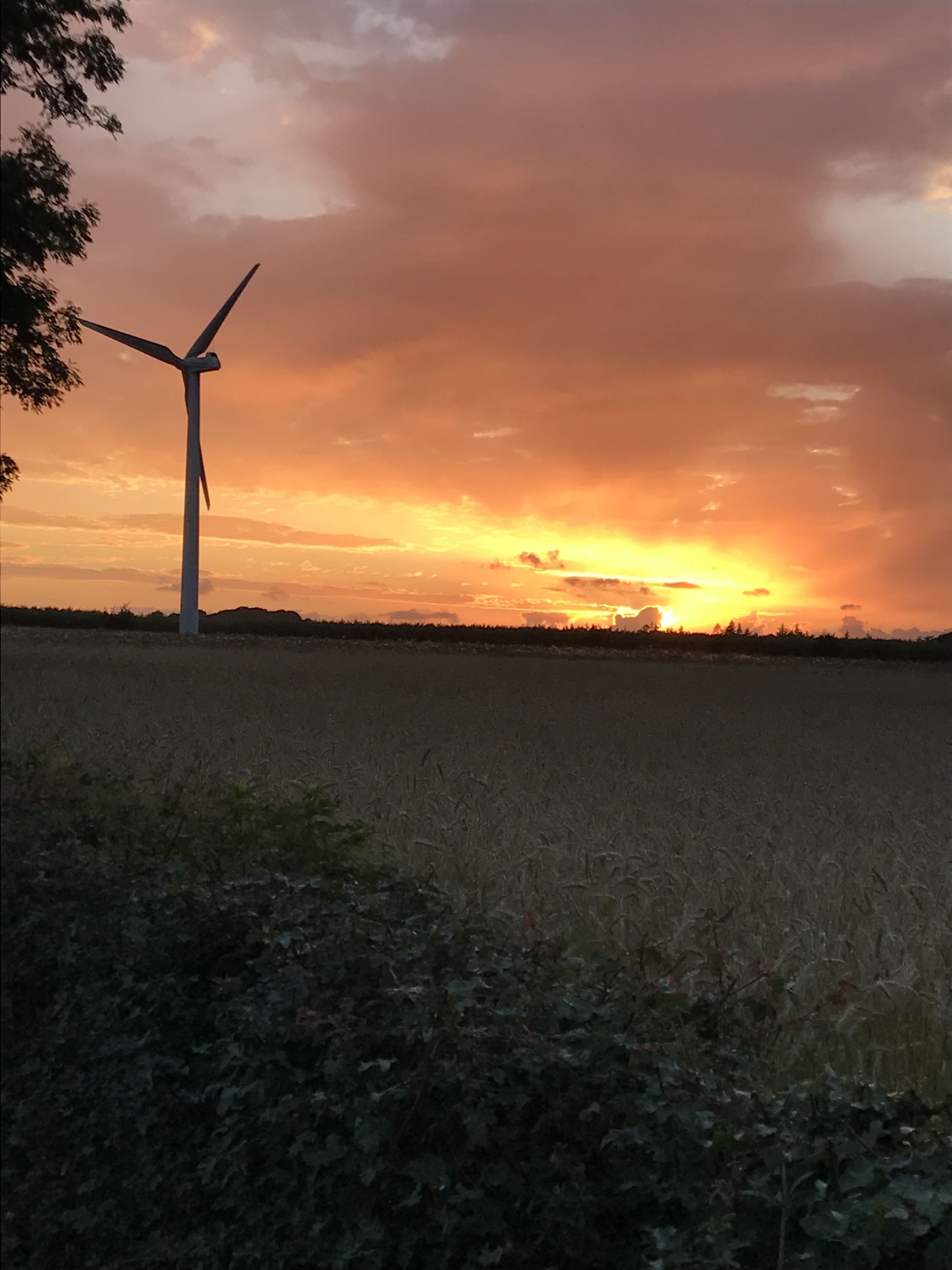 Una turbina eólica en un campo con el atardecer de fondo.