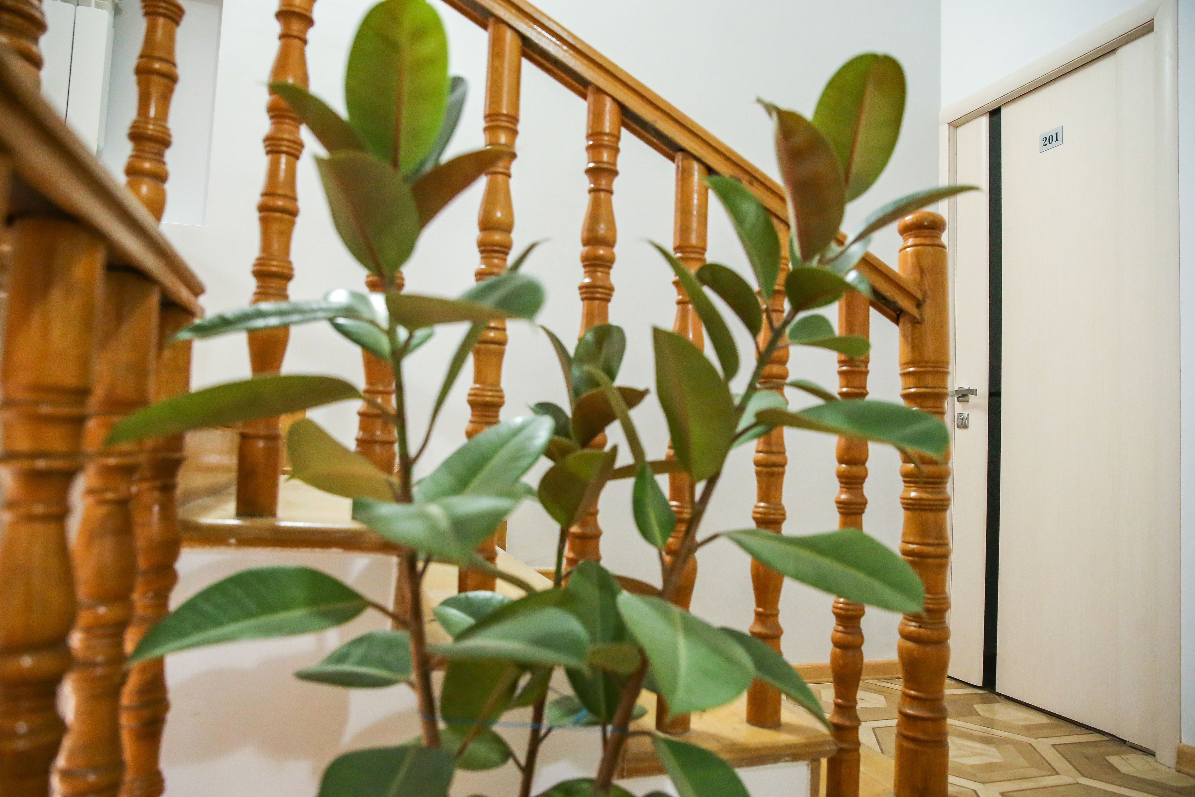 A wooden staircase with a door labeled "201" in the background.