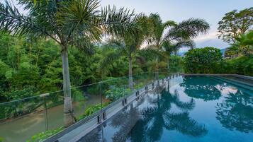 A swimming pool with a glass railing, surrounded by lush greenery and palm trees.