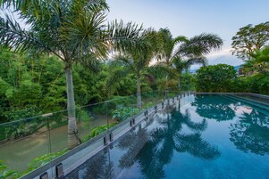 Una piscina con barandilla de vidrio, rodeada de exuberante follaje y palmeras.