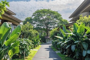 Jardín