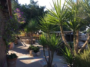 Un jardín con palmeras, bancos y plantas en macetas.
