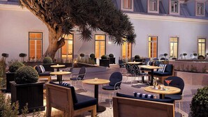 An outdoor seating area with tables and chairs, surrounded by a large tree and a building with multiple windows.