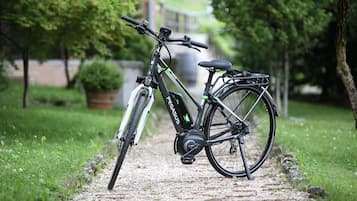 A stationary bicycle with a green frame and a black seat, parked on a gravel path surrounded by greenery.
