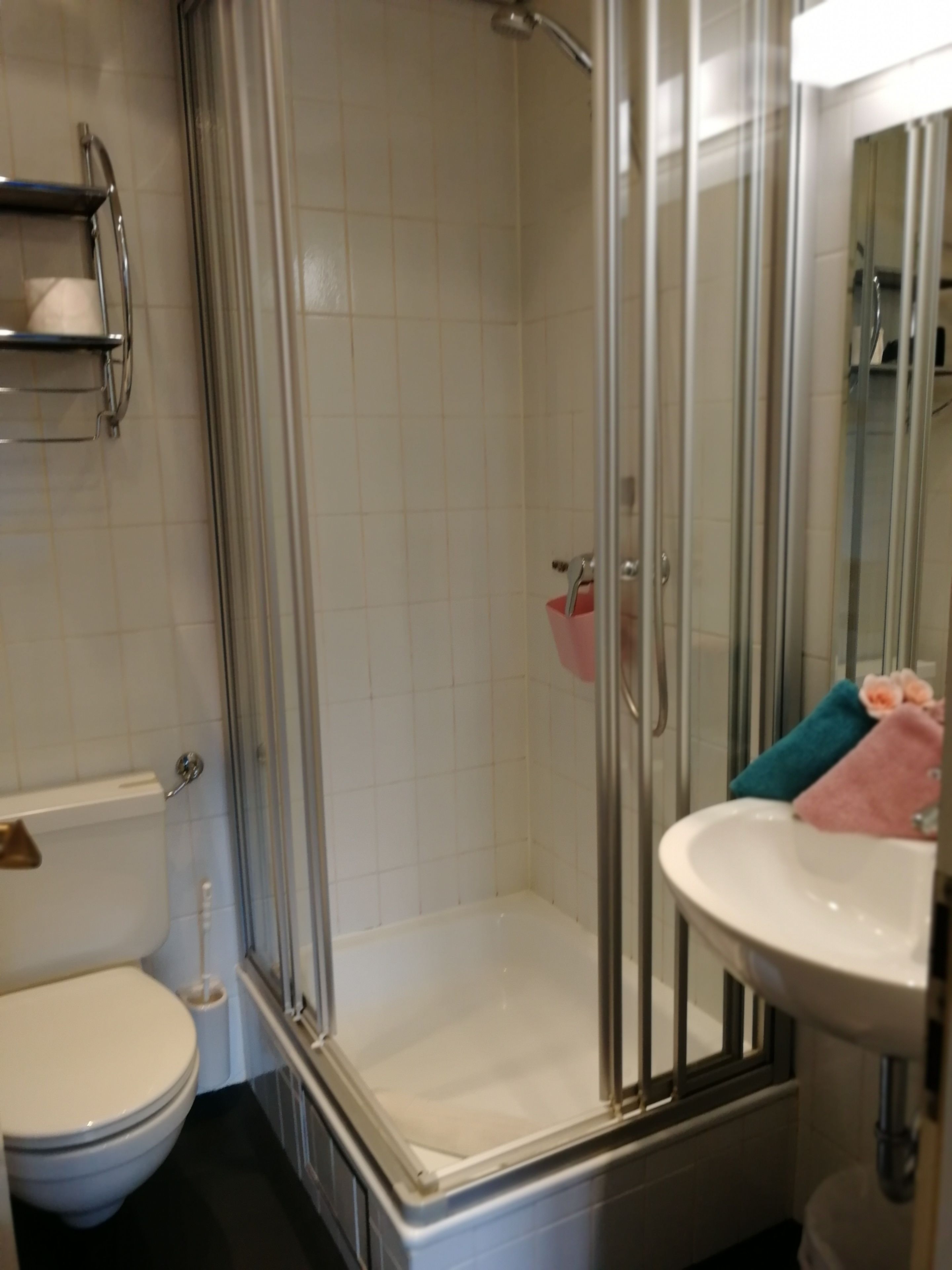 Une salle de bain avec une douche à parois de verre, des toilettes blanches et un lavabo avec un miroir.