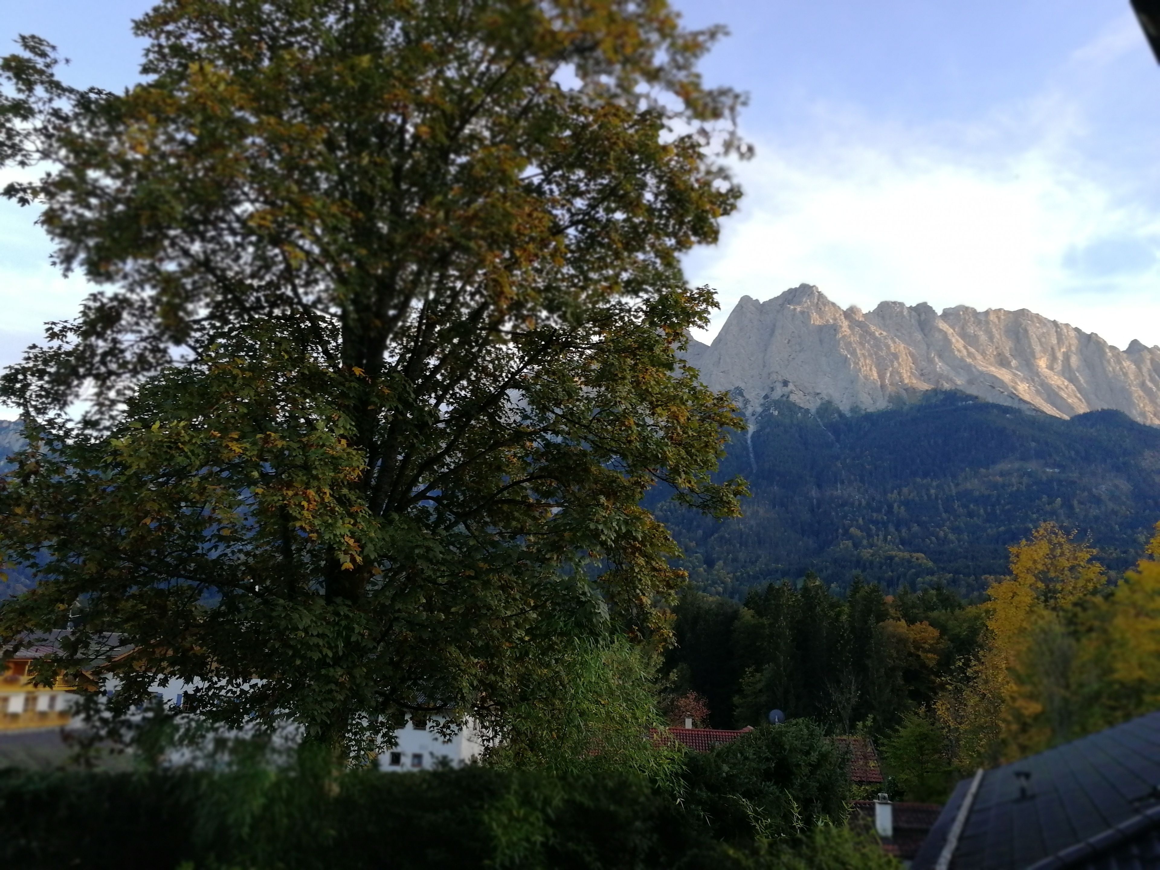 A mountain landscape with a prominent tree in the foreground and a building with a red roof in the background.