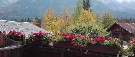 Leilighet, balkong (Hellerkraut) | Utsikt fra balkong