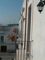 Vista desde la propiedad